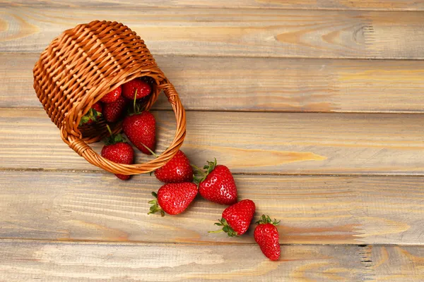 Fraises mûres rouges dans un panier en osier — Photo