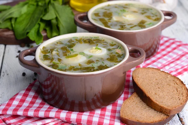 Délicieuse soupe verte avec oseille sur la table — Photo