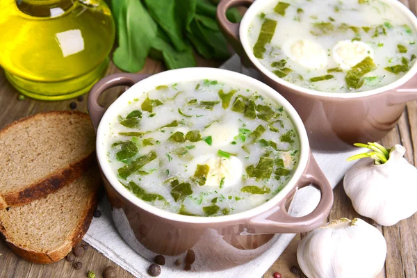 Delicious green soup with sorrel — Stock Photo, Image