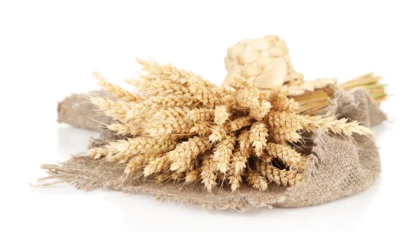 Sheaf of wheat isolated on white — Stock Photo, Image