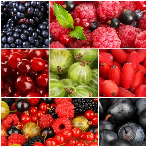 Collage of berries close-up — Stock Photo, Image