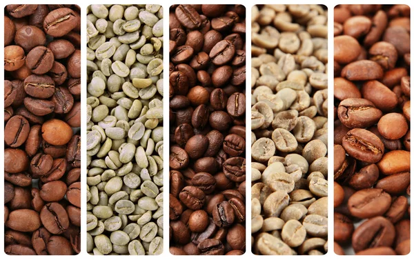Collage de diferentes granos de café —  Fotos de Stock