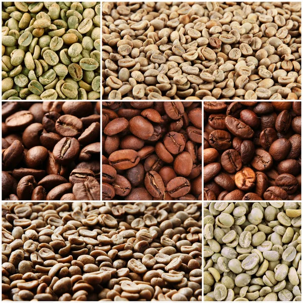 Collage aus verschiedenen Kaffeebohnen — Stockfoto