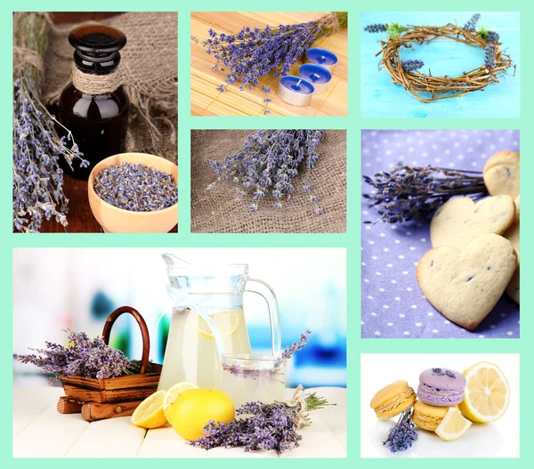 Lavendel collage — Stockfoto