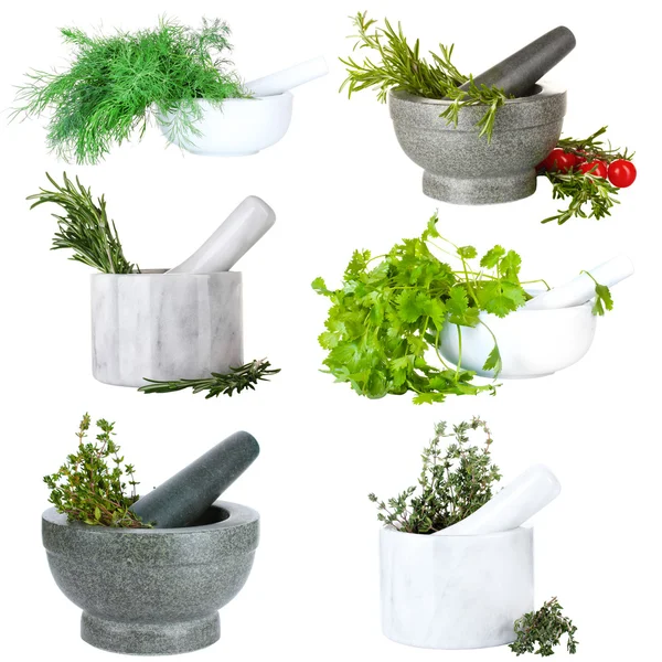 Collage of different herbs isolated on white — Stock Photo, Image
