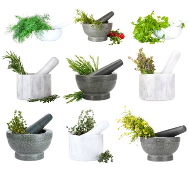 Collage of different herbs clipart