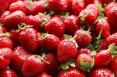 Olgun tatlı çilekler, yakından.