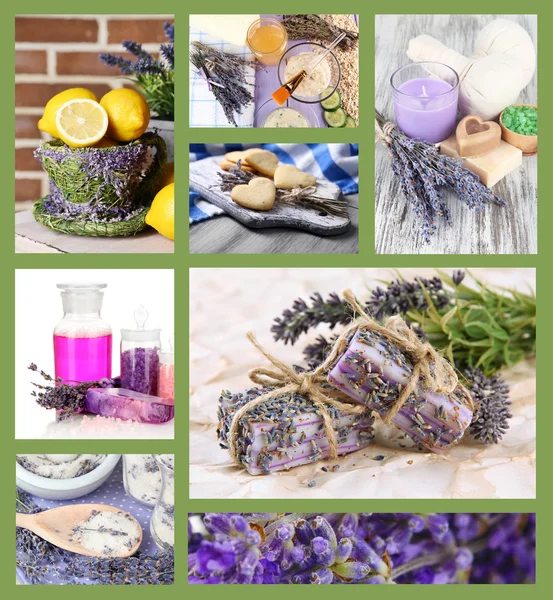 Lavendel collage — Stockfoto