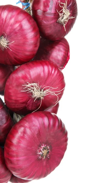 Frische rote Zwiebeln — Stockfoto