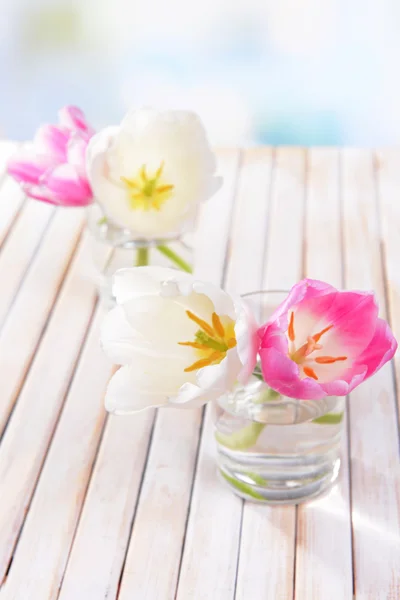 Vackra tulpaner i hink i vas på bordet — Stockfoto