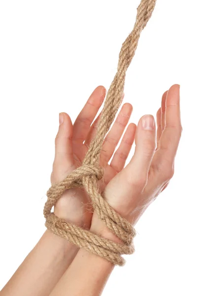 Tied hands — Stock Photo, Image