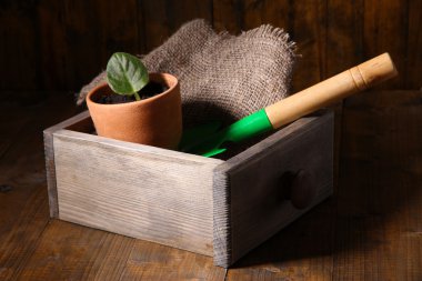 mikrop pot ve kürek kemiği üzerinde ahşap tablo