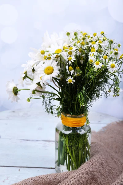 Krásnou kytici sedmikrásky — Stock fotografie
