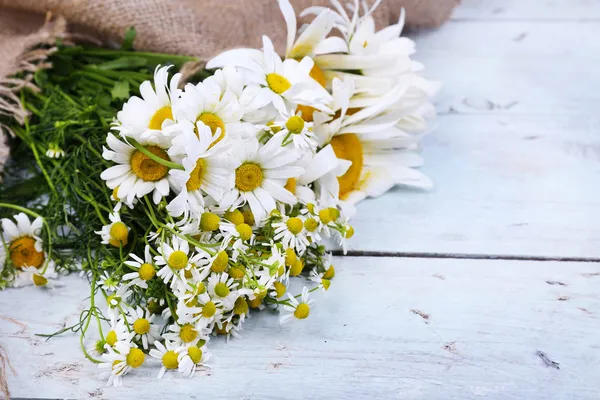 Beautiful bouquet of daisies — Stock Photo, Image