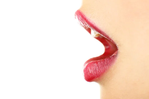 Beautiful female lips — Stock Photo, Image