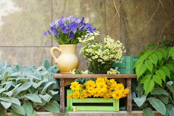 Decoración del jardín con flores silvestres, al aire libre — Foto de Stock