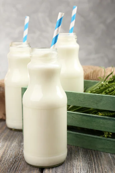 Mjölk i flaskor med papper strån — Stockfoto