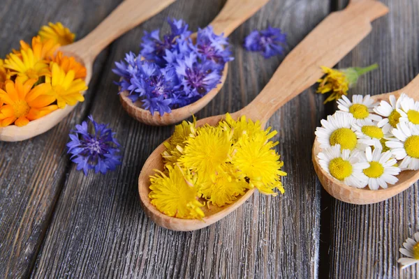 Erbe mediche fresche in cucchiai di legno sul tavolo primo piano — Foto Stock