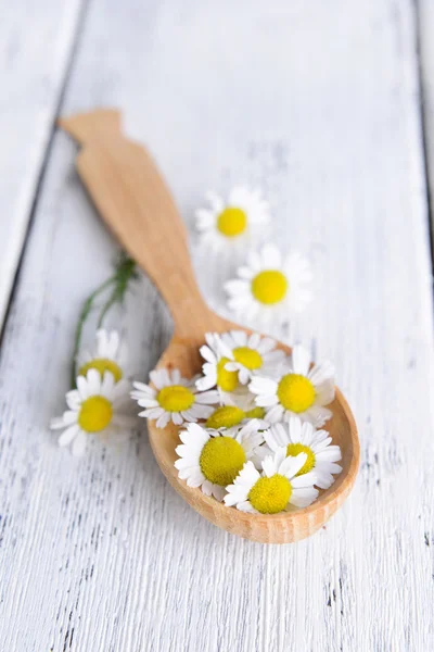 Kamille in houten lepel op tabel close-up — Stockfoto