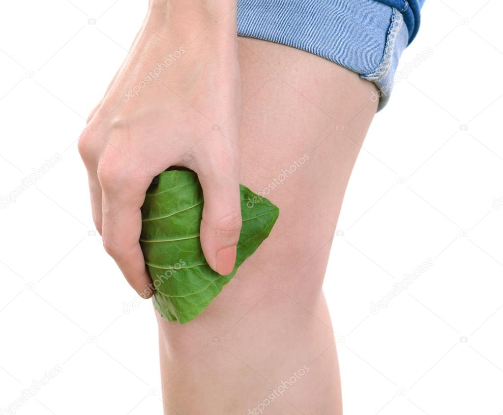 Plantain leaves on knee