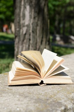 Park açık kitap