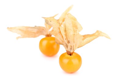 Physalis meyve