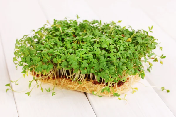 Fresh garden cress — Stock Photo, Image