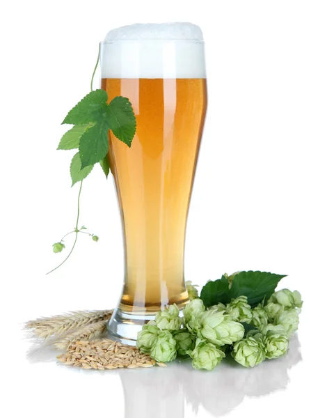 Glas Bier und Hopfen — Stockfoto