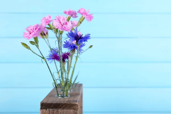 Letní květiny do vázy — Stock fotografie