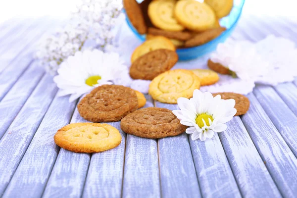 Sugar cookies in shape of buttons — Stock Photo, Image