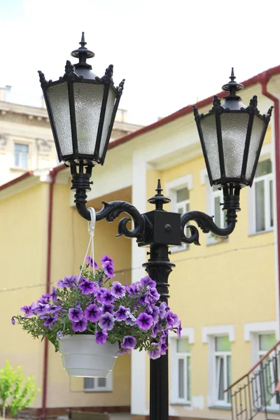 Flower arrangement on street lamp — Stock Photo, Image