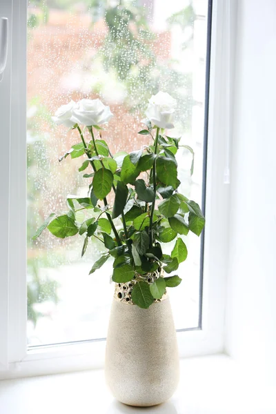 Mawar putih pada vas terhadap jendela — Stok Foto