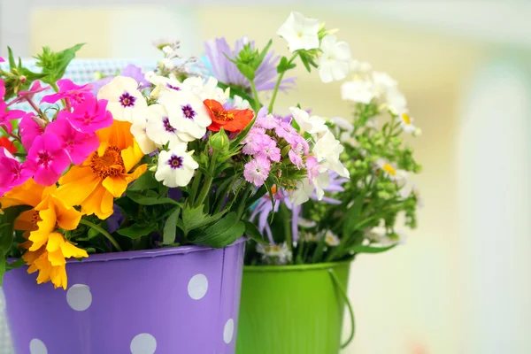 Flores en cubos decorativos — Foto de Stock