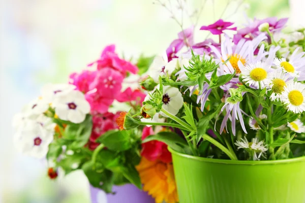 Flowers in decorative buckets — Stock Photo, Image