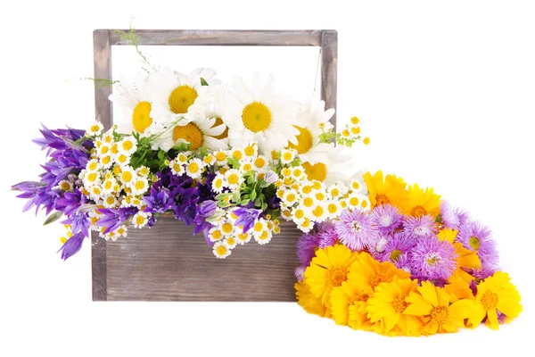 Schöne Blumen in Kiste — Stockfoto