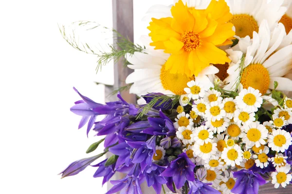 Vackra blommor i låda — Stockfoto
