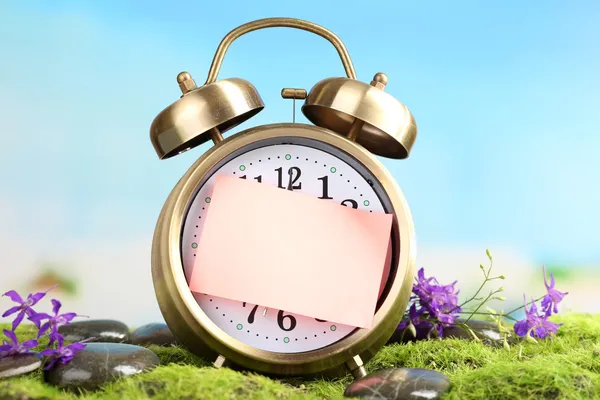 Old clock on moss — Stock Photo, Image