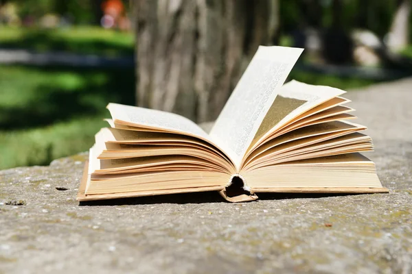 Open book in park — Stock Photo, Image