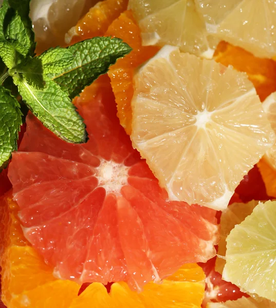 Sliced citrus fruits — Stock Photo, Image