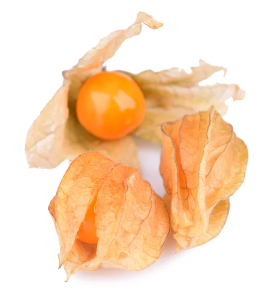 Gyümölcs Physalis — Stock Fotó