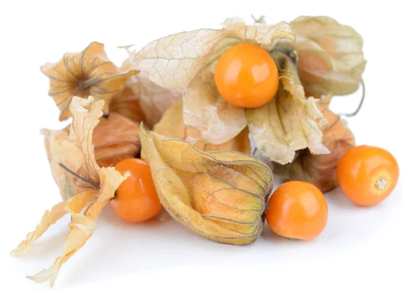 Gyümölcs Physalis — Stock Fotó