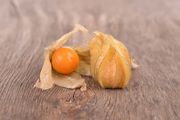 Physalis fruits — Stock Photo, Image