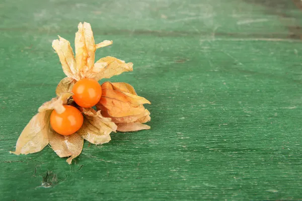 Physalis fruits — Stock Photo, Image