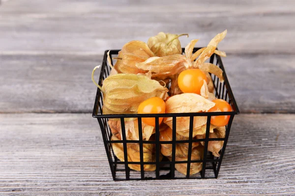 Frutos de Physalis na cesta — Fotografia de Stock