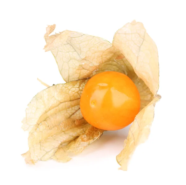 Physalis fruit — Stock Photo, Image