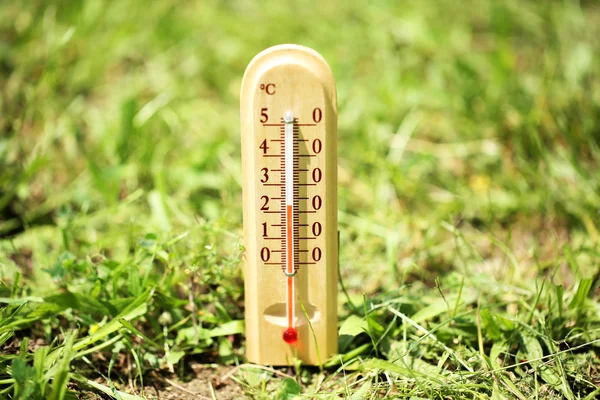 Thermometer on grass — Stock Photo, Image