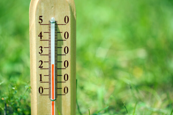 Термометр на естественном фоне
