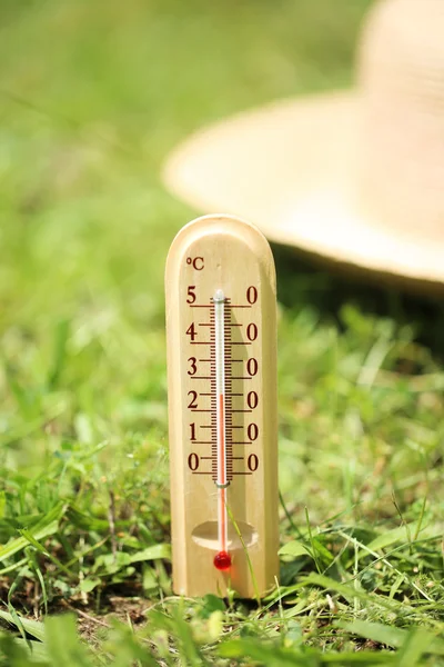 Termometr na trawie — Zdjęcie stockowe