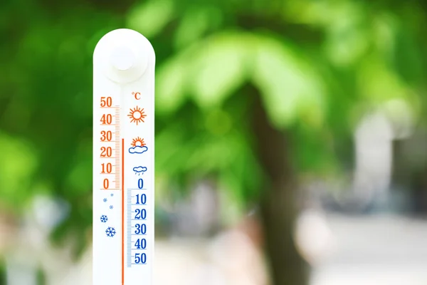 Thermometer on natural background — Stock Photo, Image