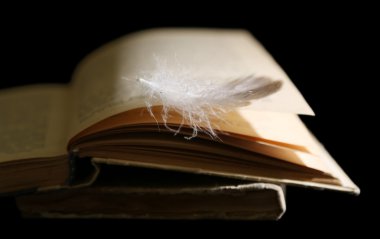 Kitap yalan tüy